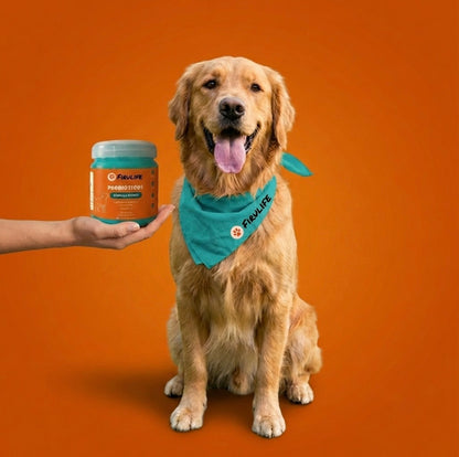 COMPLEJO  VITAMÍNICO-PROBIÓTICO PARA PERROS #1 EN ARGENTINA - FIRULIFE ESTÁ CON VOS